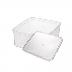 Takeaway Plastic Container...