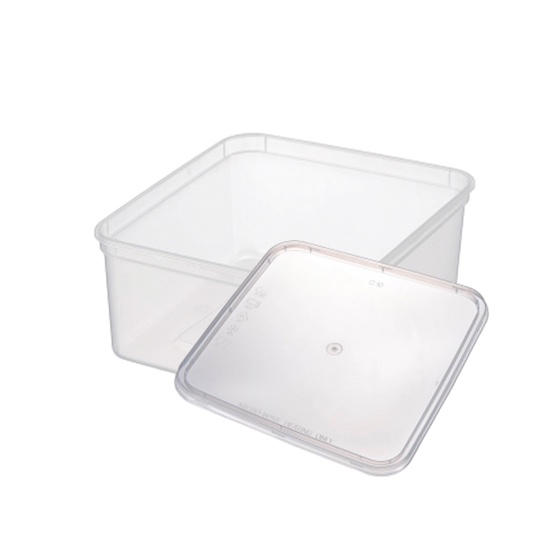 Takeaway Plastic Container SQ1 100s