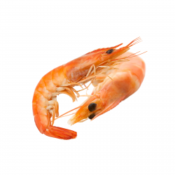 Cooked Tiger Prawn 26/30...