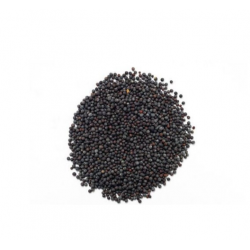 Black Mustard Seed 1kg
