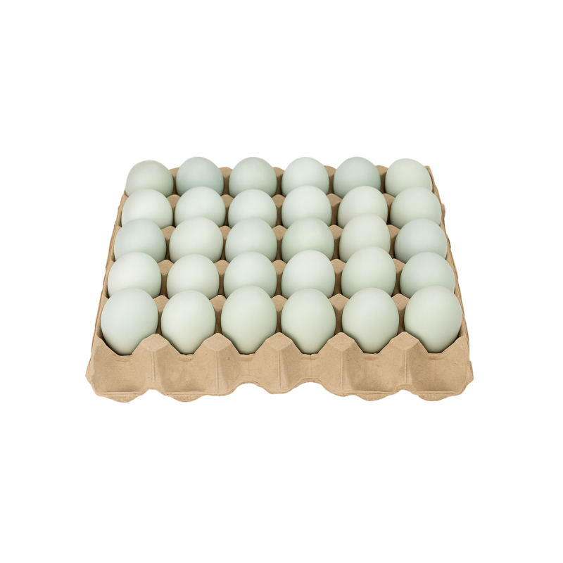 Salted Egg  (Cleaned) 1PC