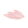 Frozen Dory Fillet (170g - 220g) 2kg