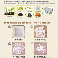 Biodegradable Disposable Plate 20's - 9"