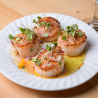 Premium Scallop Meat 20/30 454g
