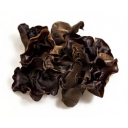 Fungus Black Large 1kg