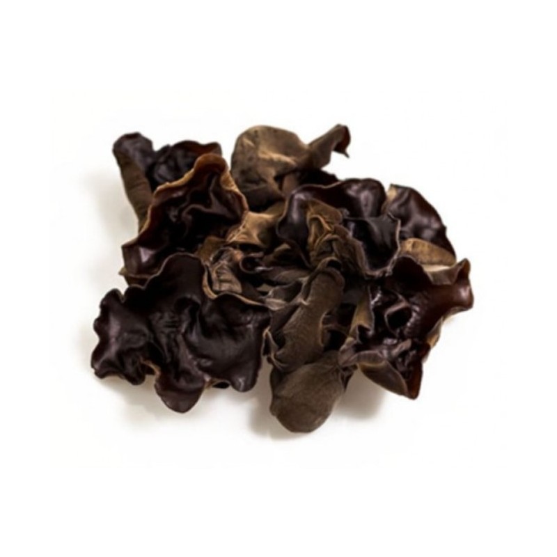 Fungus Black Large 1kg