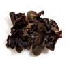 Fungus Black Large 1kg