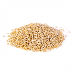 East Sun Barley 1kg