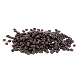 East Sun Black Bean Dried 1kg