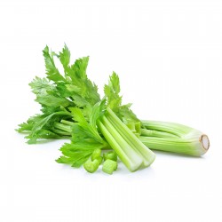 Celery 1s