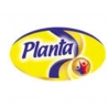 Planta