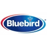 Blue Bird